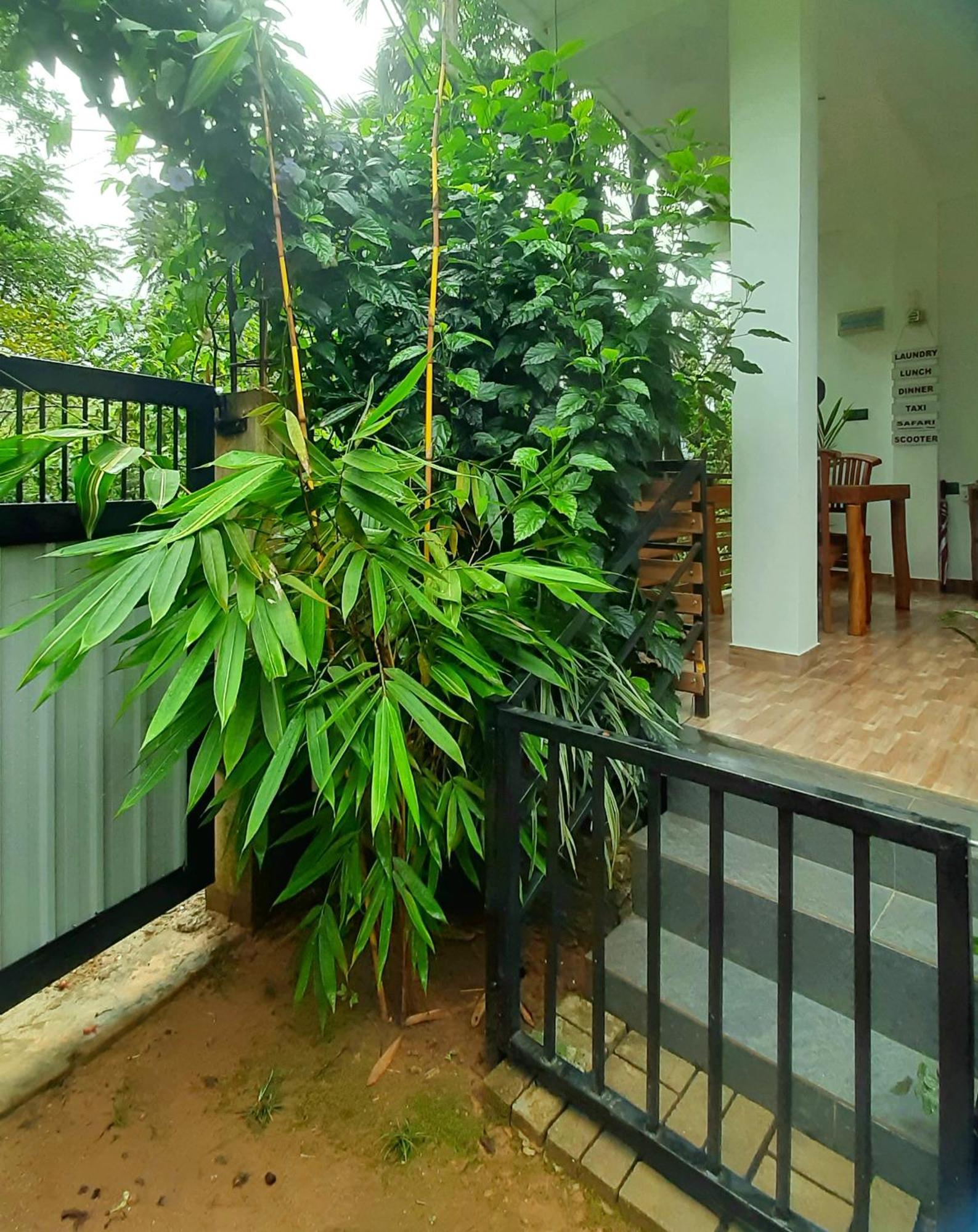 Dhanudi Homestay Елла Екстер'єр фото